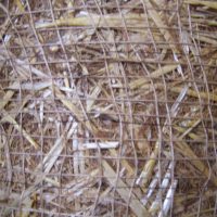 stroh-kokos-matte-typ-sk-jj