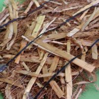 stroh-kokos-matte-sk-p300